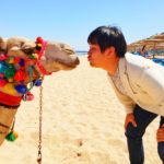 シャルムエルシェイクのリゾートホテルならここ!仲間とたくさん遊べる『リクソス シャルム エル シェイク』がおすすめ